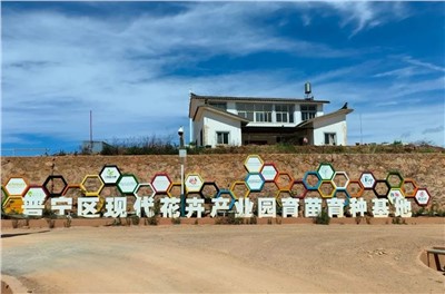 【案例故事】享譽(yù)世界的春城花都，世邦助力云南晉寧走出“芬芳”致富路