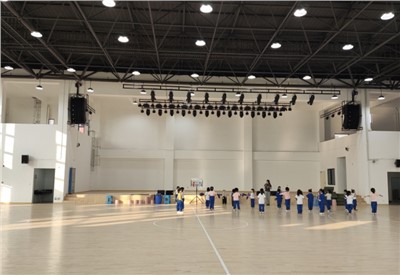 會議擴聲系統(tǒng)優(yōu)化：解決雜音與覆蓋難題，提升會議效率